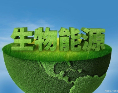 《中國能源報(bào)》：生物質(zhì)能源利用將迎來加速跑